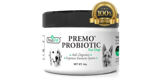 second choice probiotics dogs